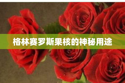 格林赛罗斯果核的神秘用途图片