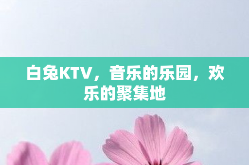 白兔KTV，音乐的乐园，欢乐的聚集地