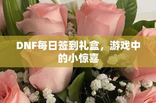 DNF每日签到礼盒,游戏中的小惊喜 DNF每日签到礼盒,游戏中的小惊喜