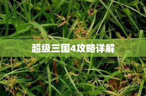 超级三国4攻略详解图片