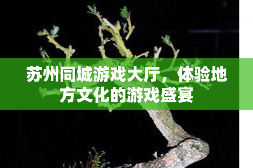 体验地方文化的游戏盛宴图片
