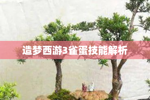 造梦西游3雀蛋技能解析图片