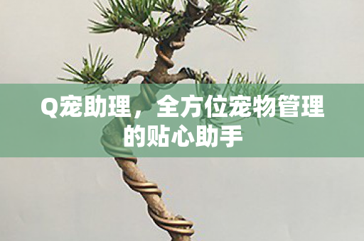 全方位宠物管理的贴心助手图片