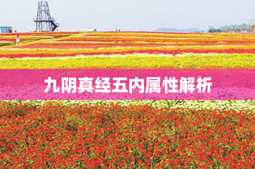 九阴真经五内属性解析图片
