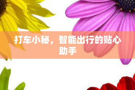 智能出行的贴心助手图片