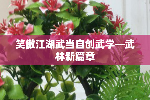 笑傲江湖武当自创武学图片