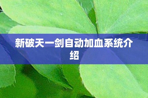 新破天一剑自动加血系统介绍图片