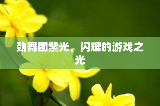 闪耀的游戏之光图片