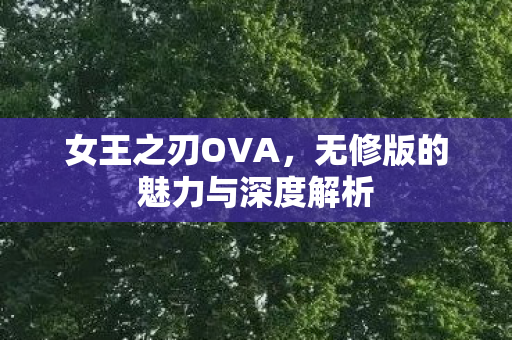 无修版的魅力与深度解析图片