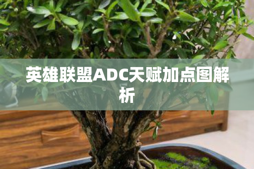 英雄联盟ADC天赋加点图解析图片