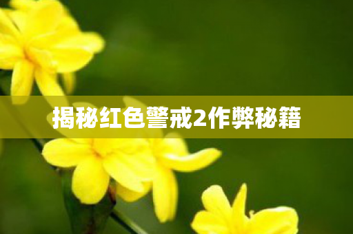 揭秘红色警戒2作弊秘籍图片