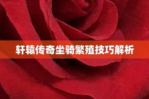 轩辕传奇坐骑繁殖技巧解析图片