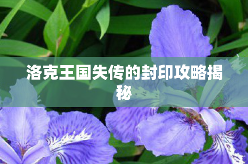 洛克王国失传的封印攻略揭秘图片