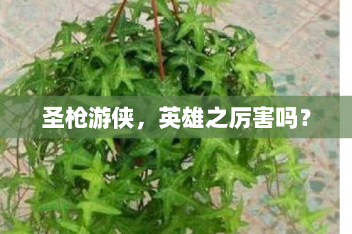 英雄之厉害吗图片