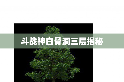 斗战神白骨洞三层揭秘图片