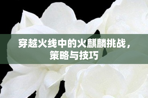 穿越火线中的火麒麟挑战图片