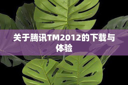 关于腾讯TM2012的下载与体验图片