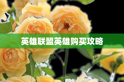 英雄联盟英雄购买攻略图片