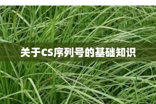 关于CS序列号的基础知识图片