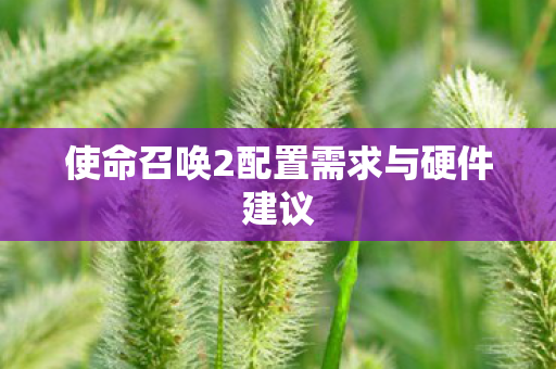使命召唤2配置需求与硬件建议图片