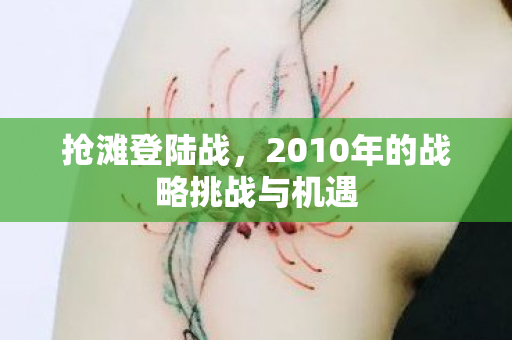 2010年的战略挑战与机遇图片