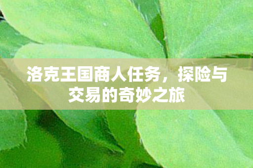探险与交易的奇妙之旅图片