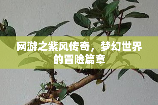 梦幻世界的冒险篇章图片