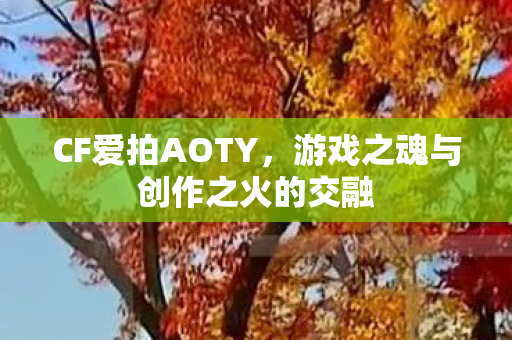 游戏之魂与创作之火的交融图片