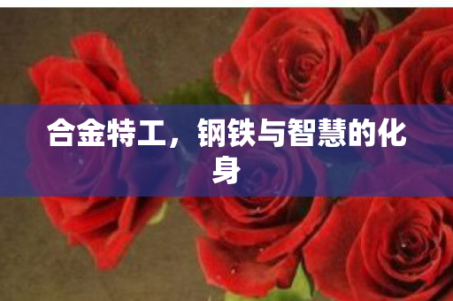 钢铁与智慧的化身图片