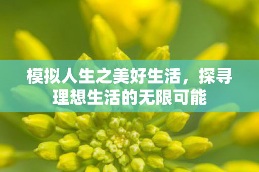 探寻理想生活的无限可能图片
