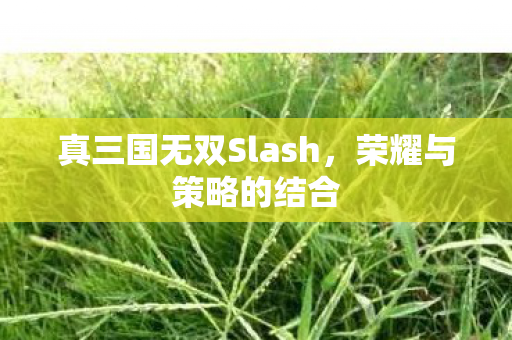 真三国无双Slash图片