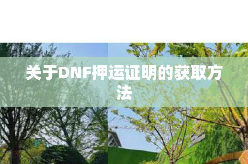 关于DNF押运证明的获取方法图片