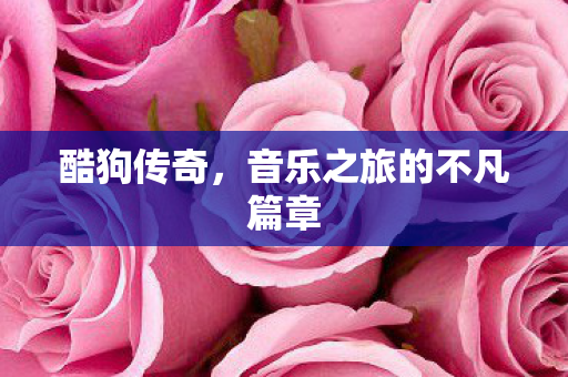 音乐之旅的不凡篇章图片