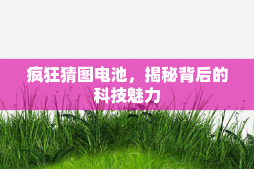 揭秘背后的科技魅力图片