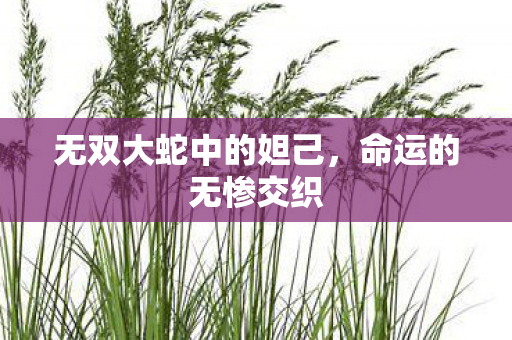 无双大蛇中的妲己图片