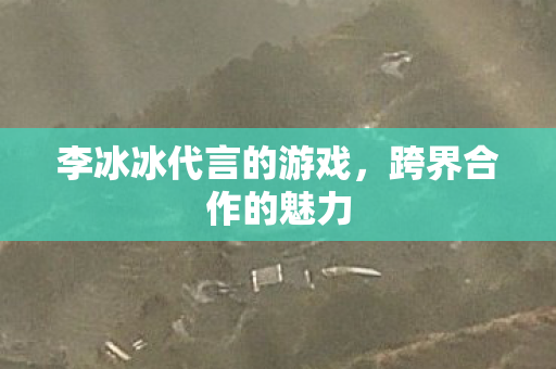 李冰冰代言的游戏图片