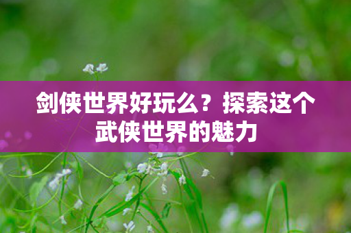 探索这个武侠世界的魅力图片