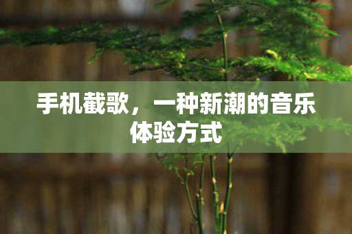 一种新潮的音乐体验方式图片
