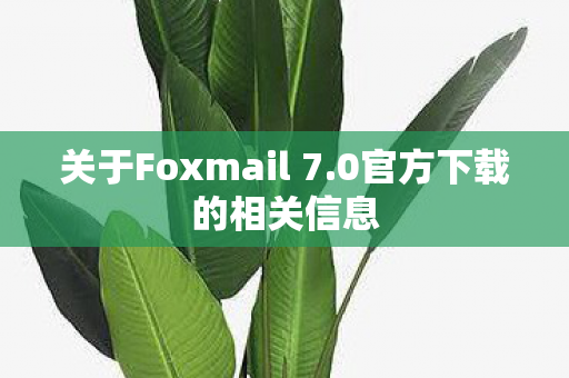 关于Foxmail 7图片