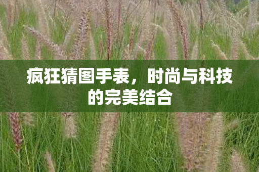 时尚与科技的完美结合图片