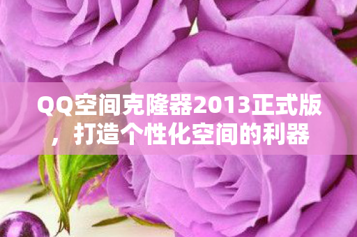 QQ空间克隆器2013正式版图片
