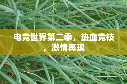 电竞世界第二季图片