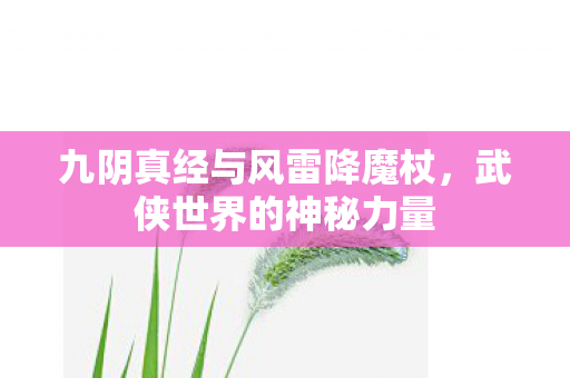 九阴真经与风雷降魔杖图片