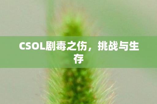 CSOL剧毒之伤图片