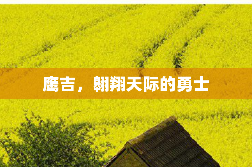 翱翔天际的勇士图片