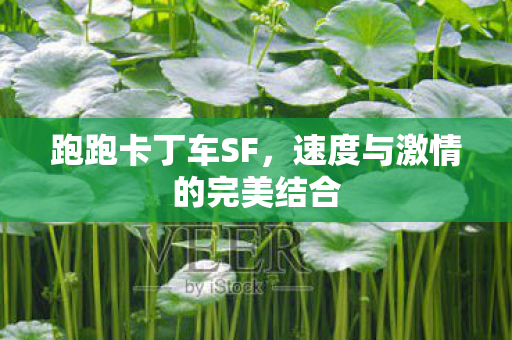 速度与激情的完美结合图片