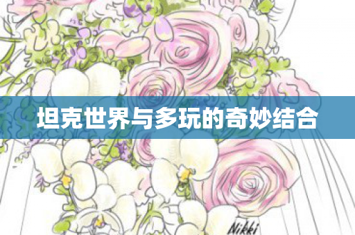 坦克世界与多玩的奇妙结合图片