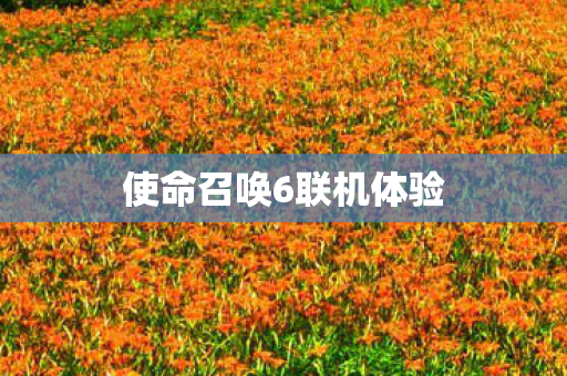 使命召唤6联机体验图片