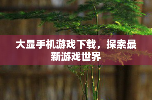 大显手机游戏下载图片