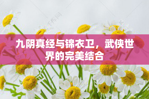 武侠世界的完美结合图片